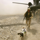 Image for article titled 26 Awesome Photos of War Dogs Showing How Badass and Cute They Can Be